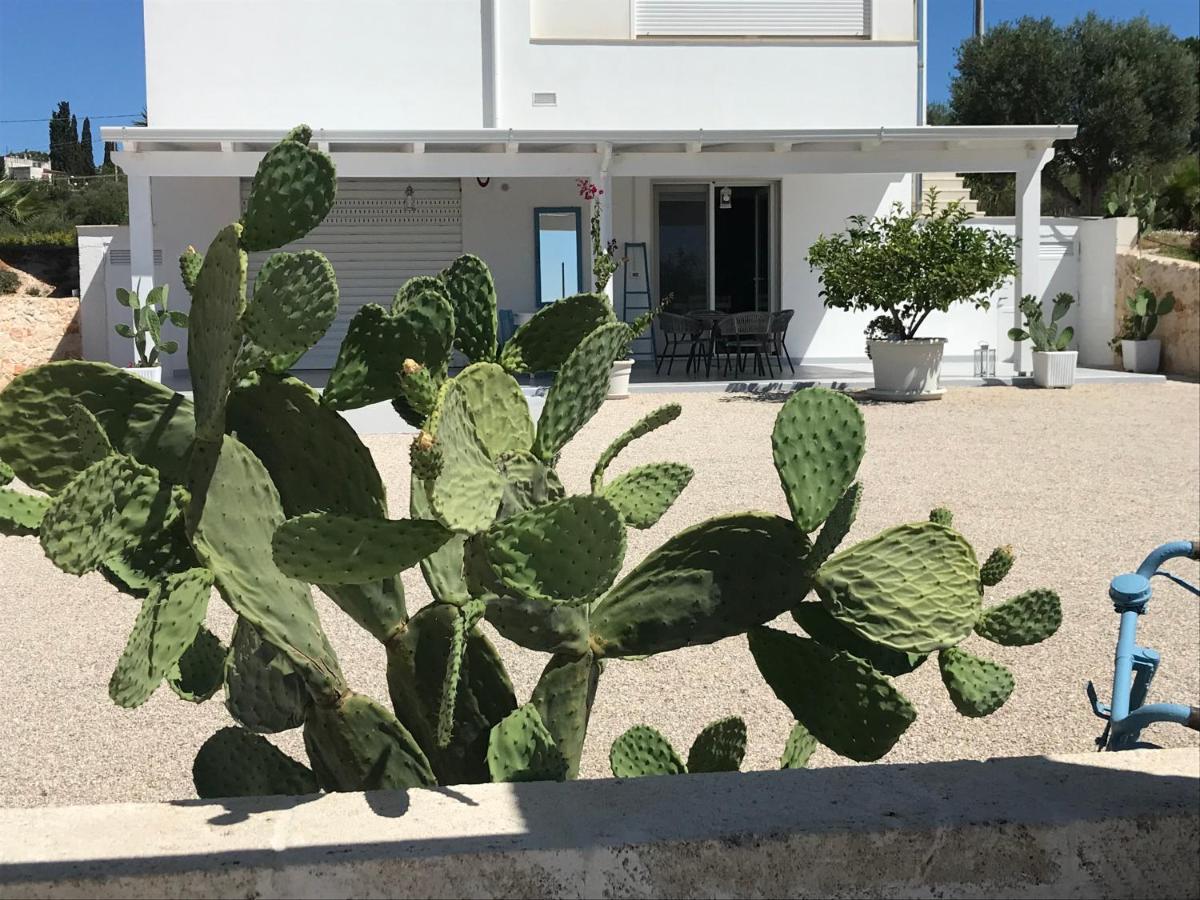 Peter * Ostuni